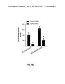 METHODS OF PROGNOSTICALLY CLASSIFYING AND TREATING GLANDULAR CANCERS diagram and image