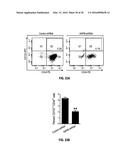 METHODS OF PROGNOSTICALLY CLASSIFYING AND TREATING GLANDULAR CANCERS diagram and image