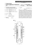 Downhole Power Generation System With Alternate Flow Paths diagram and image