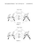 FLEXIBLE LIGHT-EMITTING FILM diagram and image