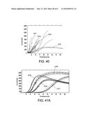 ELLAGIC ACID FORMULATIONS FOR USE IN COAGULATION ASSAYS diagram and image