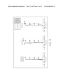 OPTICAL SYSTEM diagram and image