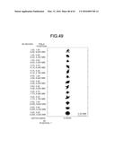 PROJECTION OPTICAL SYSTEM AND PROJECTOR APPARATUS diagram and image