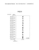 PROJECTION OPTICAL SYSTEM AND PROJECTOR APPARATUS diagram and image