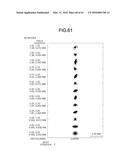 PROJECTION OPTICAL SYSTEM AND PROJECTOR APPARATUS diagram and image