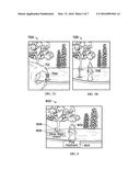 SYSTEMS, APPARATUSES, AND METHODS FOR GESTURE RECOGNITION AND INTERACTION diagram and image