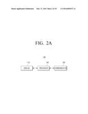 DISPLAY APPARATUS AND CONTROLLING METHOD THEREOF diagram and image