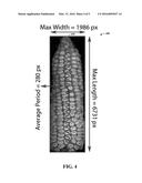 Object Characterization diagram and image