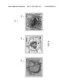 FOCUSED ION BEAM SYSTEMS AND METHODS OF OPERATION diagram and image