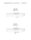 THIN FILM TRANSISTOR SUBSTRATE AND DISPLAY APPARATUS USING THE SAME diagram and image