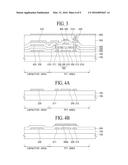 THIN FILM TRANSISTOR SUBSTRATE AND DISPLAY APPARATUS USING THE SAME diagram and image