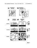 METHOD FOR THE PRODUCTION OF ELECTRODES AND ELECTRODES MADE USING SUCH A     METHOD diagram and image