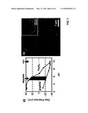 METHOD FOR THE PRODUCTION OF ELECTRODES AND ELECTRODES MADE USING SUCH A     METHOD diagram and image