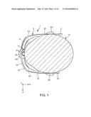 IMAGE DISPLAY APPARATUS diagram and image