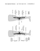 KNEE PROTECTION SYSTEM diagram and image