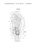 INSOLE FOR SHOE diagram and image