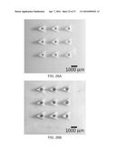 MICRONEEDLE ARRAYS FOR BIOSENSING AND DRUG DELIVERY diagram and image