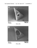 MICRONEEDLE ARRAYS FOR BIOSENSING AND DRUG DELIVERY diagram and image