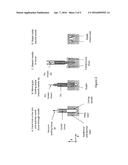 MICROCLOSURES AND RELATED METHODS FOR SKIN TREATMENT diagram and image