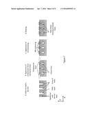 MICROCLOSURES AND RELATED METHODS FOR SKIN TREATMENT diagram and image