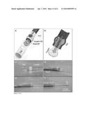 BIORESORBABLE BIOPOLYMER ANASTOMOSIS DEVICES diagram and image