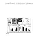 BIORESORBABLE BIOPOLYMER ANASTOMOSIS DEVICES diagram and image