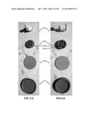 FLUSHING SYSTEM FOR A SAFETY SYSTEM diagram and image