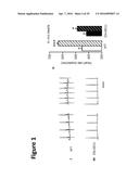MODULATION OF MITOCHONDRIAL CALCIUM UNIPORTER ACTIVITY FOR TREATING AND     PREVENTING ARRHYTHMIAS diagram and image