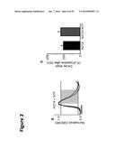 MODULATION OF MITOCHONDRIAL CALCIUM UNIPORTER ACTIVITY FOR TREATING AND     PREVENTING ARRHYTHMIAS diagram and image