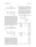 PYRAZOLYLAMINOPYRIDINES AS INHIBITORS OF FAK diagram and image