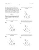 PYRAZOLYLAMINOPYRIDINES AS INHIBITORS OF FAK diagram and image