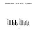 Adenylate Cyclase Deficient Bordetella Strains diagram and image