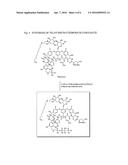 Bone Targeted Therapeutics and Methods of Making and Using the Same diagram and image