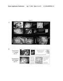 NOVEL MULTIMODAL CT/OPTICAL AGENTS diagram and image