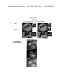 NOVEL MULTIMODAL CT/OPTICAL AGENTS diagram and image