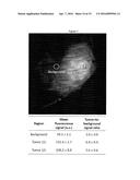 NOVEL MULTIMODAL CT/OPTICAL AGENTS diagram and image