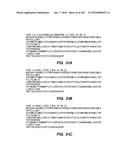 SYSTEM AND METHOD FOR OPTOGENETIC THERAPY diagram and image