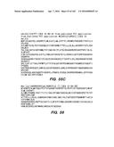 SYSTEM AND METHOD FOR OPTOGENETIC THERAPY diagram and image