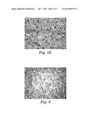 BEAD-COATED SHEET diagram and image