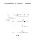 FEATURE DETECTION APPARATUS AND METHODS FOR TRAINING OF ROBOTIC NAVIGATION diagram and image