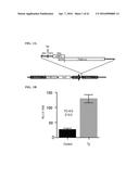 MODULATORS OF THE EIF2ALPHA PATHWAY diagram and image