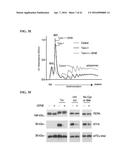 MODULATORS OF THE EIF2ALPHA PATHWAY diagram and image