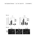 MODULATORS OF THE EIF2ALPHA PATHWAY diagram and image