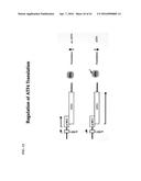 MODULATORS OF THE EIF2ALPHA PATHWAY diagram and image