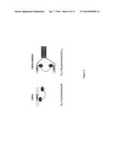 INHIBITORS OF INV(16) LEUKEMIA diagram and image