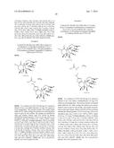 ORIDONIN ANALOGS, COMPOSITIONS, AND METHODS RELATED THERETO diagram and image