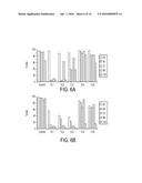 COMPLEMENT INHIBITORS diagram and image