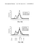 COMPLEMENT INHIBITORS diagram and image