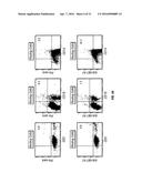 B7-H1, A NOVEL IMMUNOREGULATORY MOLECULE diagram and image