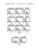 B7-H1, A NOVEL IMMUNOREGULATORY MOLECULE diagram and image